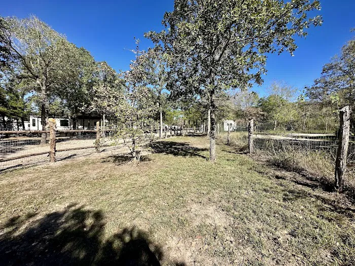 Jones Road RV Park Picture 8