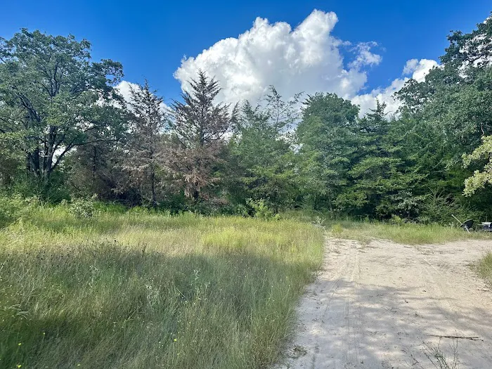 Jones Road RV Park Picture 5