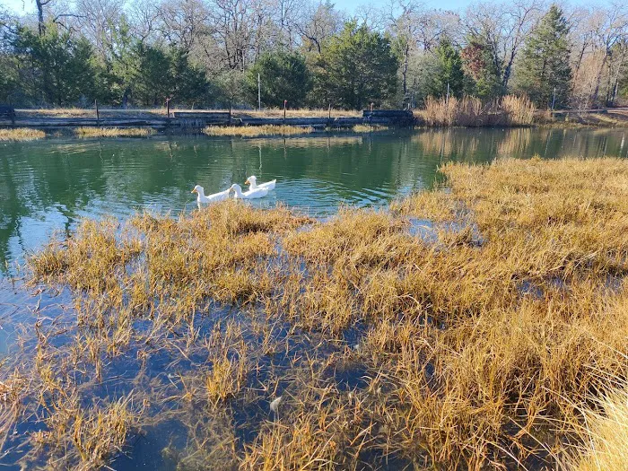 Cosmic Duck RV Park Picture 7