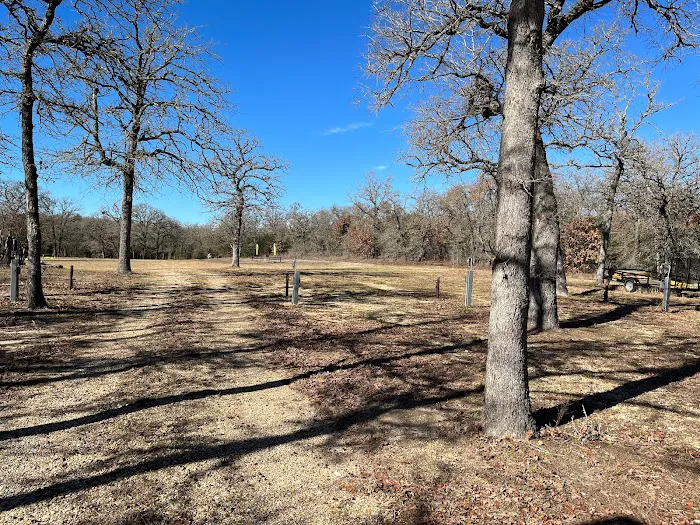 Cosmic Duck RV Park Picture 5