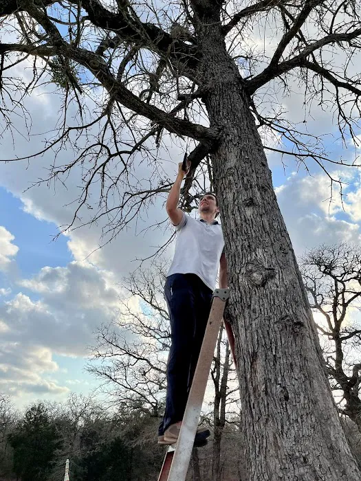 Cosmic Duck RV Park Picture 1