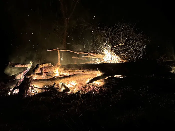 Davy Crockett RV Park Picture 2