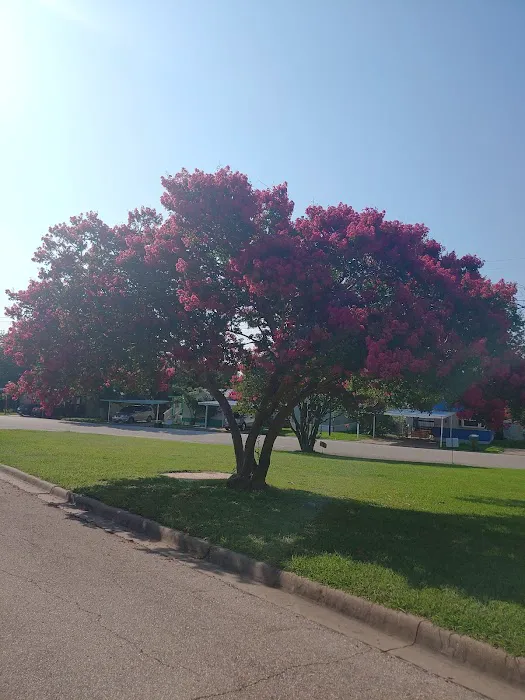 La Casita Mobile Home Community Picture 1