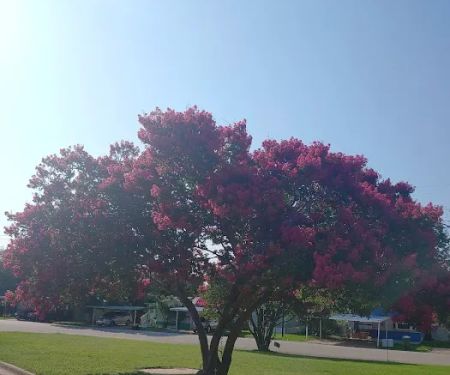 La Casita Mobile Home Community