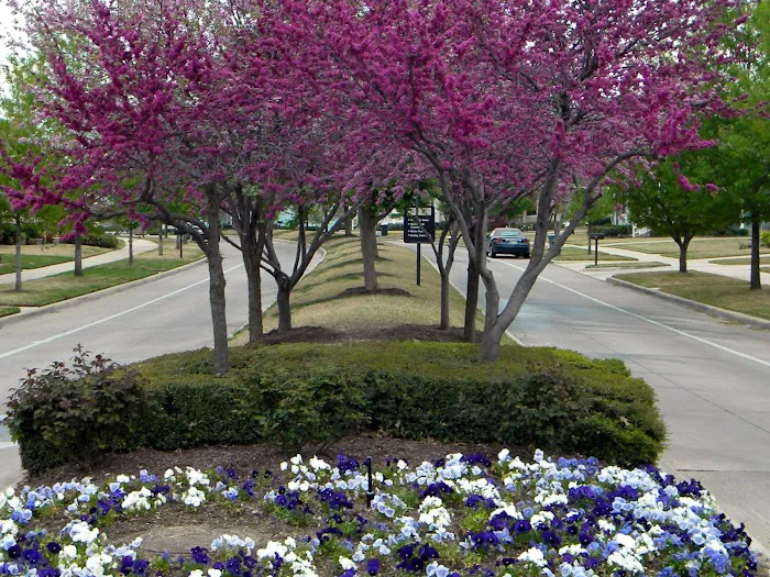 La Casita Mobile Home Community Picture 9