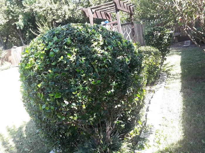 North Richland Hills Mobile Home Park Picture 9