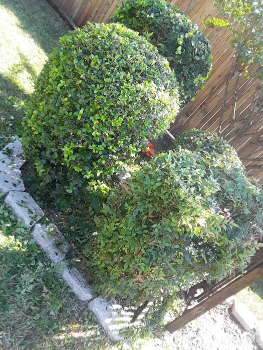 North Richland Hills Mobile Home Park Picture 6