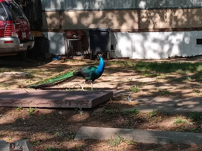 Layton Mobile Manor Picture 7