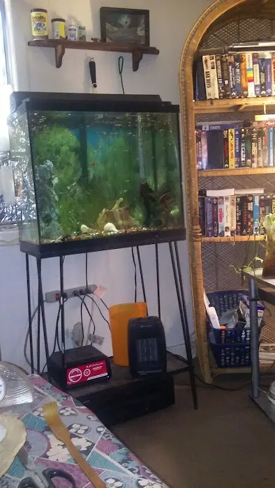 Layton Mobile Manor Picture 9