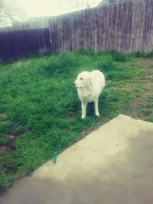 Princeton Village Manufactured Home Community Picture 2