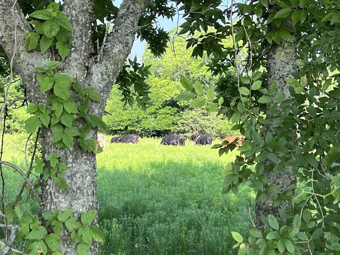 McWest RV Park Picture 1