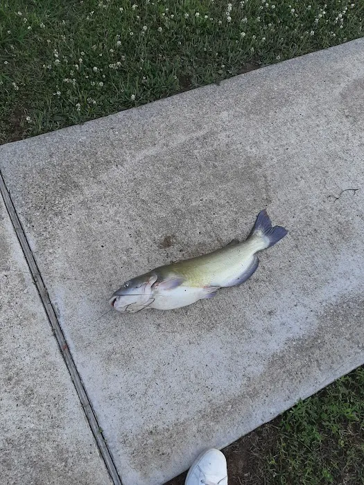 Plantation Oaks Resort Picture 2