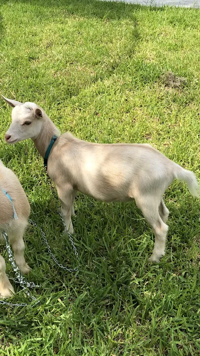 Country Escape RV Park Picture 2