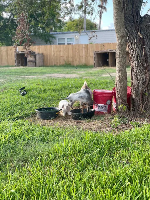 Freddieville Farms Picture 2