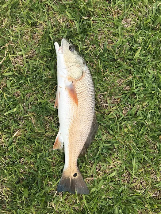 Freddieville Farms Picture 8