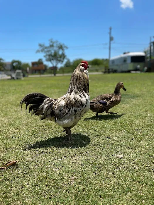 Freddieville Farms Picture 10