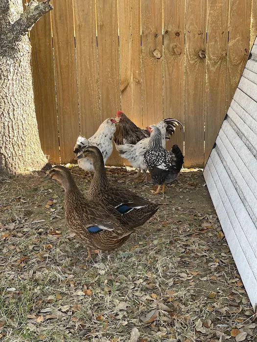 Freddieville Farms Picture 9