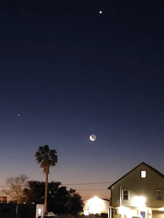 Bayou Betty RV Resort Picture 3