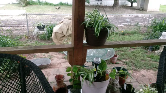 Lamplight parque Picture 6