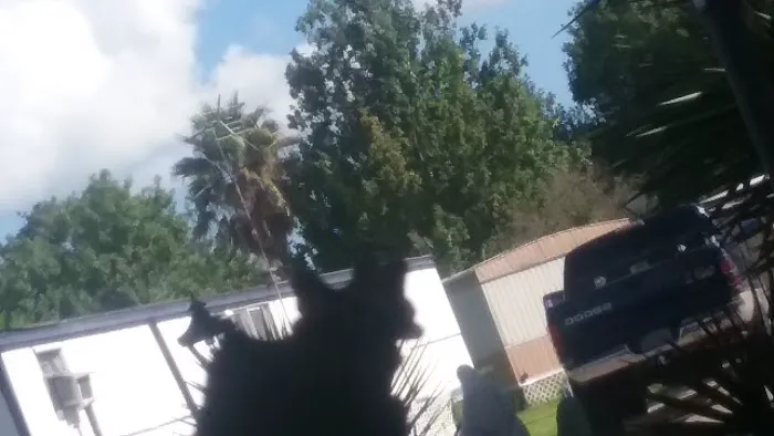 Lamplight parque Picture 2