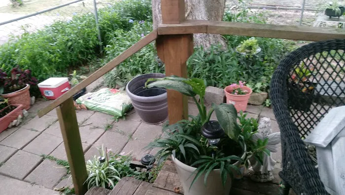 Lamplight parque Picture 4