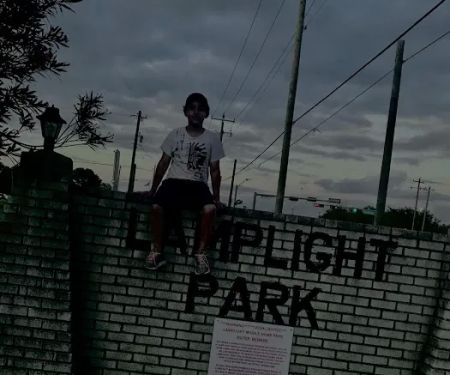 Lamplight parque