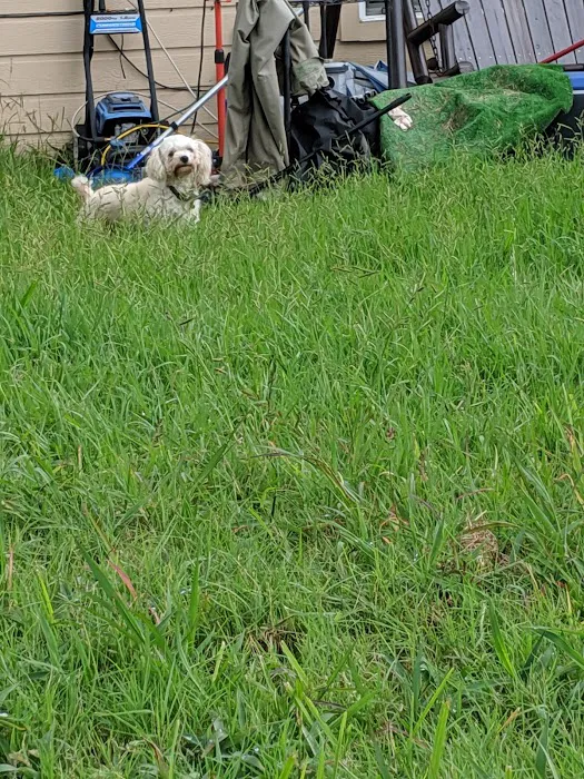 Lamplight parque Picture 10