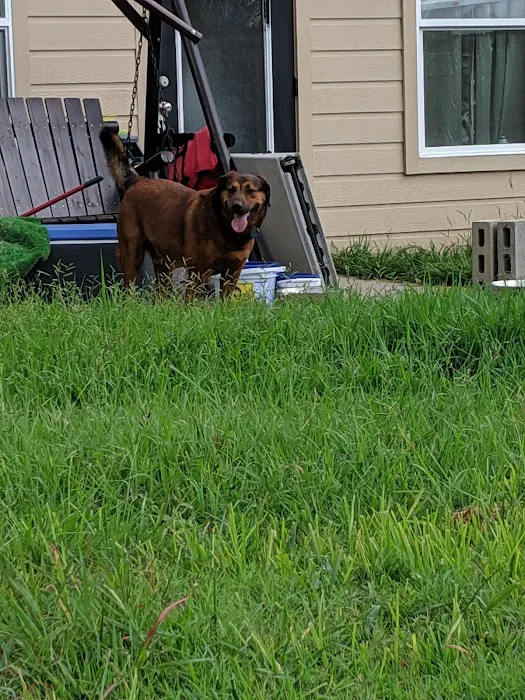 Lamplight parque Picture 8