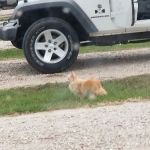 Strong Tower RV Park