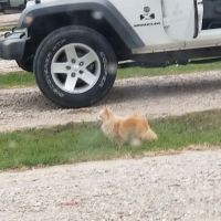 Strong Tower RV Park ico