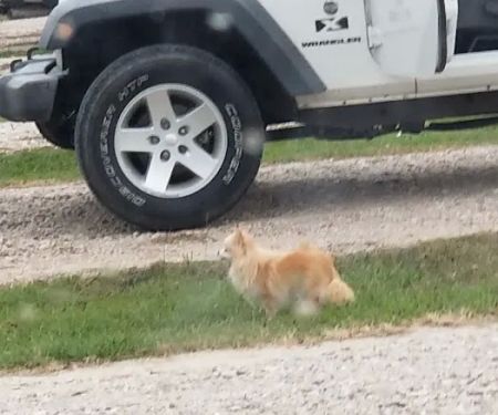 Strong Tower RV Park