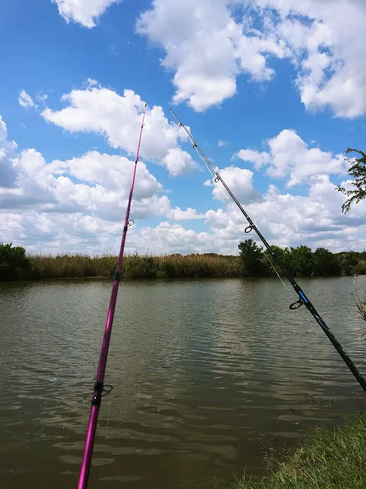 On The Bayou RV Park Picture 5