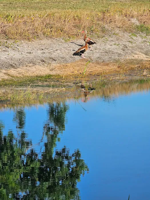 Kucera Krossing RV Park Picture 3