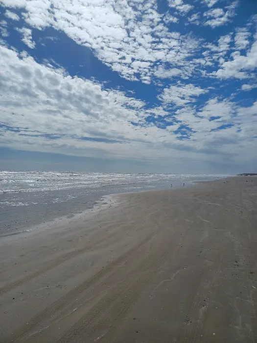 Bastrop Bayou RV Park Picture 1