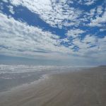 Bastrop Bayou RV Park