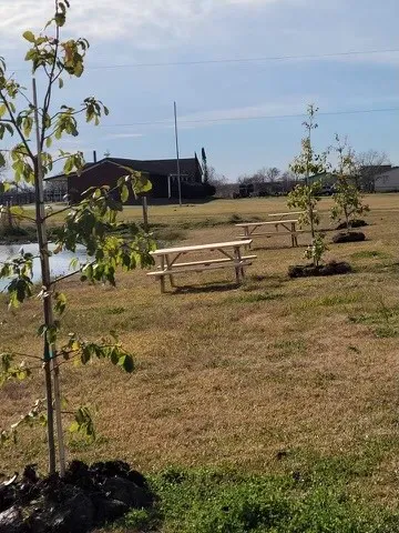 Bastrop Bayou RV Park Picture 8