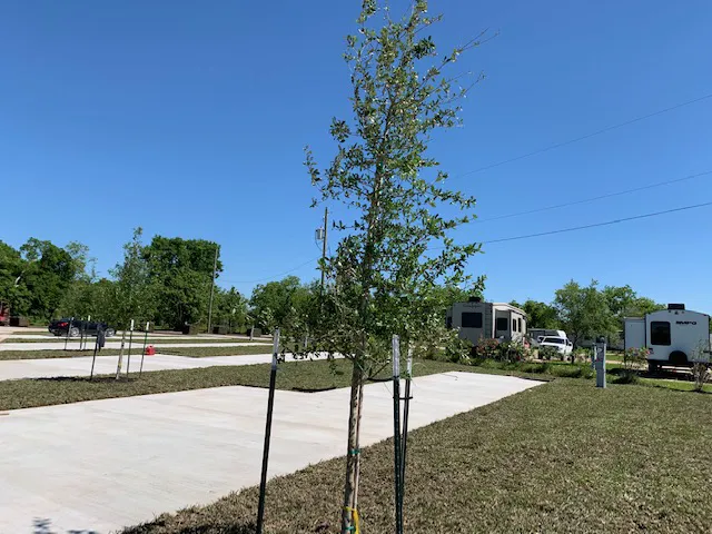 Happy Camp RV Park | RV Parks in Angleton, Texas Picture 1