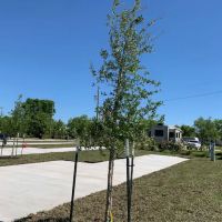 Happy Camp RV Park | RV Parks in Angleton, Texas ico