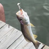 Canal Place Rv Park ico