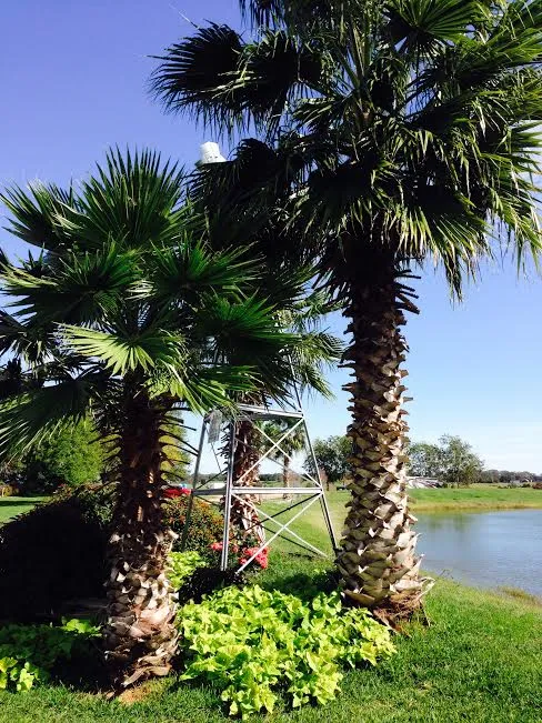 Dillard's R.V. Park Picture 10