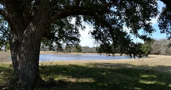 S and H RV Park Picture 2