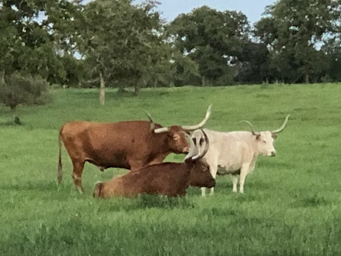 Ross's South Forty RV Park Picture 1