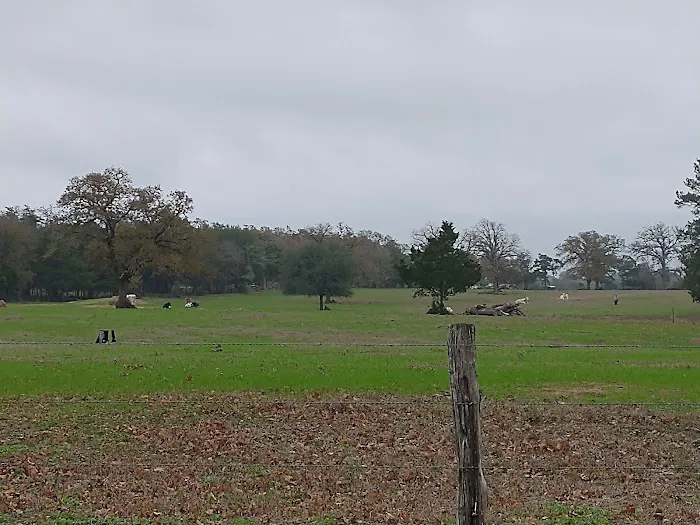 Ross's South Forty RV Park Picture 6