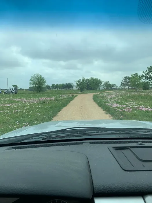 US 90 RV Park Picture 1