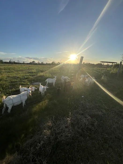 US 90 RV Park Picture 4