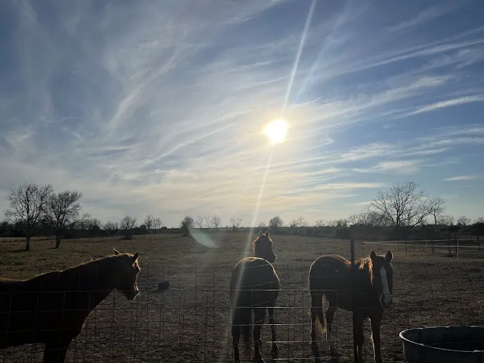 US 90 RV Park Picture 8