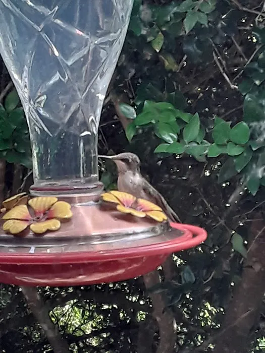 Coyote Cove RV Resort Picture 2