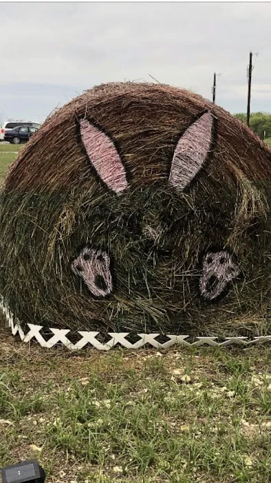 Anna Country RV Ranch Picture 1