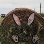 Anna Country RV Ranch