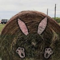 Anna Country RV Ranch ico